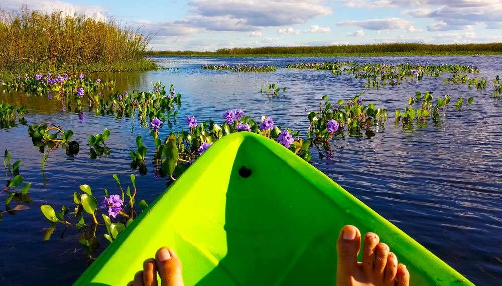 kayak y navegacion elibera