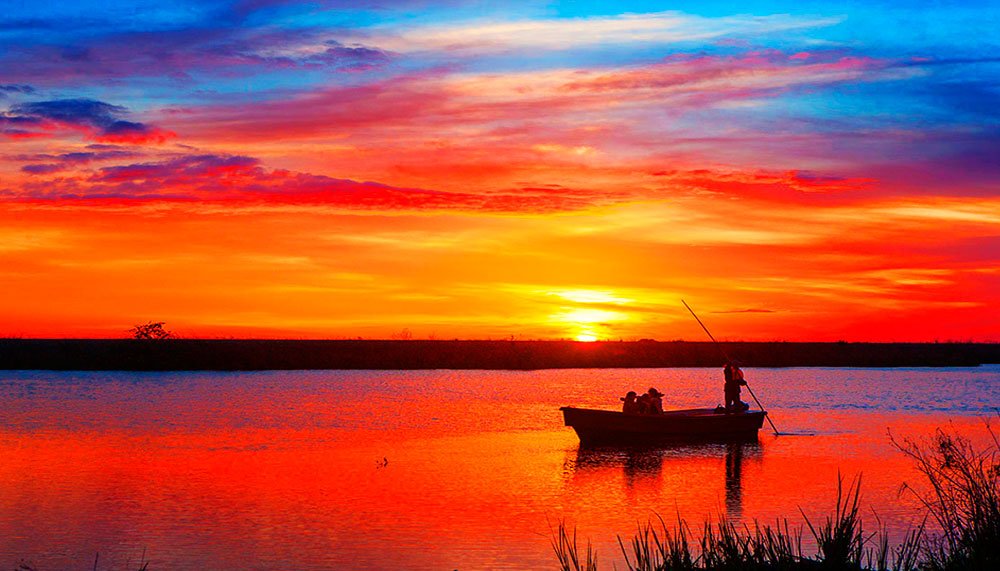 pesca deportiva elibera